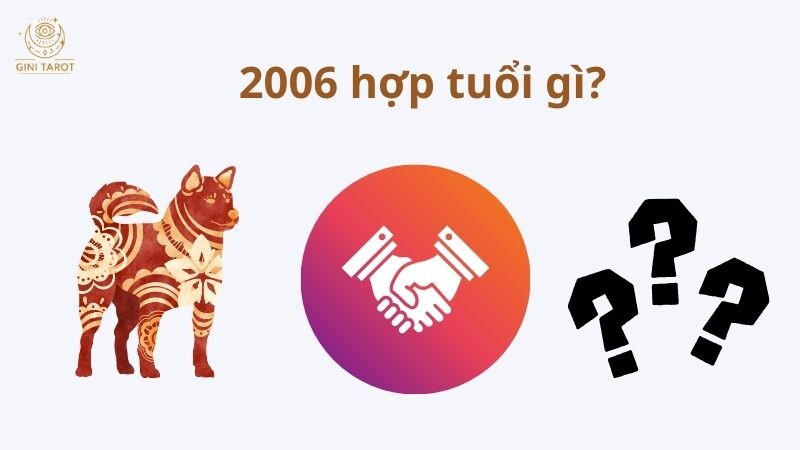 2006 hợp các tuổi: Đinh Hợi, Mậu Tý, Tân Mão