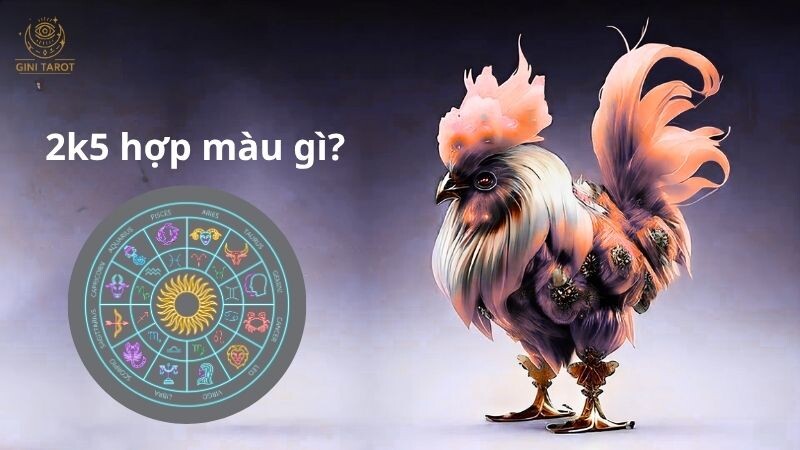 2k5 hợp với màu gì?