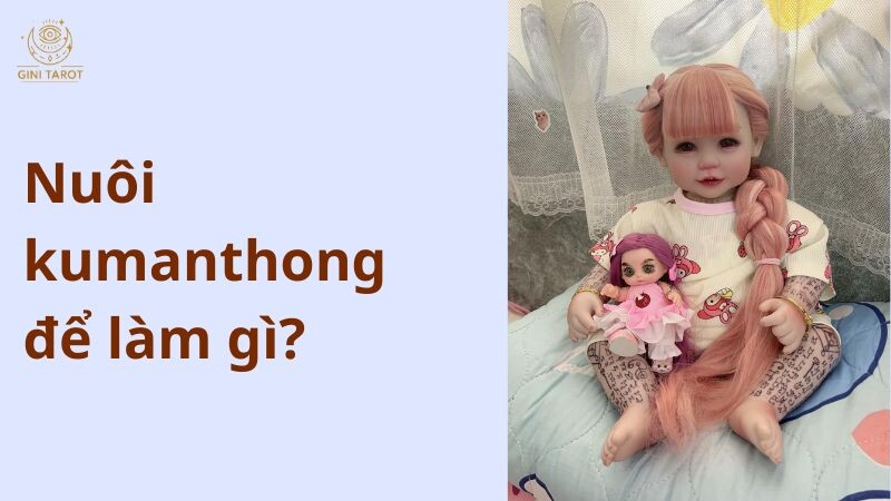 Nuôi Kumanthong cầu bình an, may mắn và tài lộc cho cả gia đình