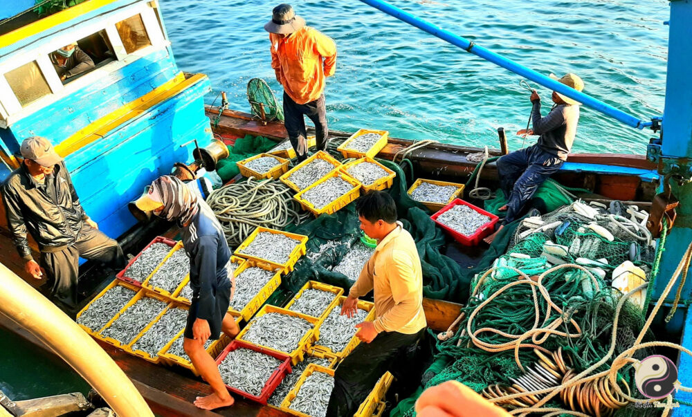 Nuôi trồng thủy hải sản hợp với người mệnh Thủy