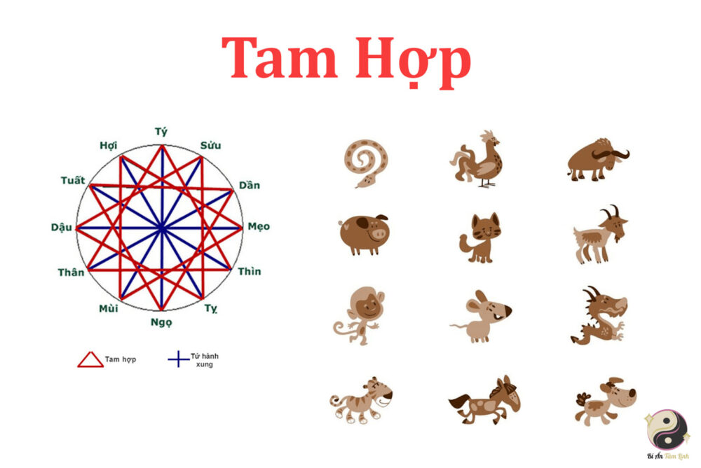 Tam hợp là gì?