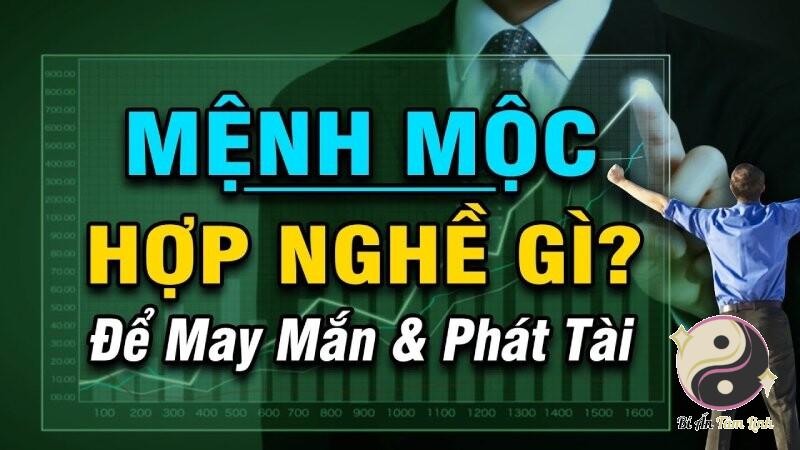 Mệnh mộc hợp nghề gì? Đâu là sự lựa chọn dành cho mệnh mộc
