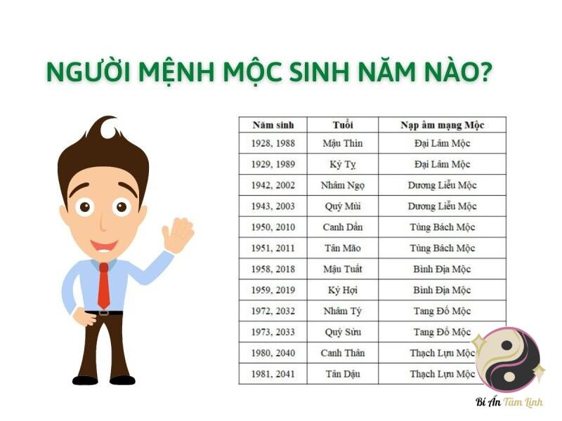 Người mệnh mộc sinh năm nào?