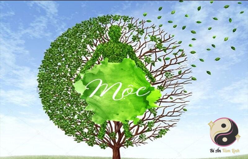 Tính cách của người mệnh mộc khi làm việc