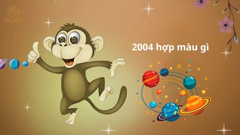 2004 hợp màu: xanh biển, đen, xám, bạc xám ghi, trắng, xanh lam