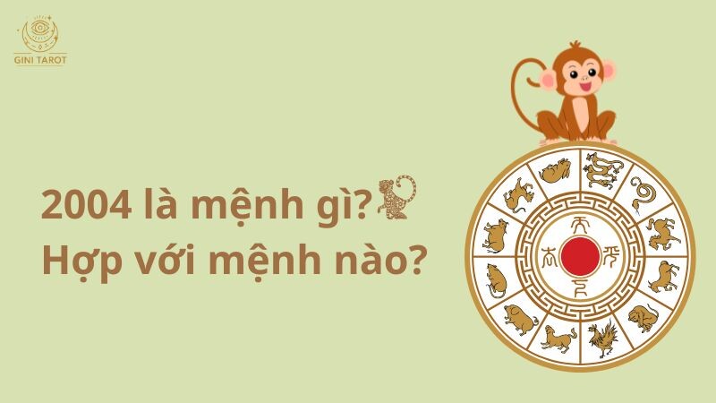 2004 là mệnh thủy hợp với mệnh kim và mệnh thổ