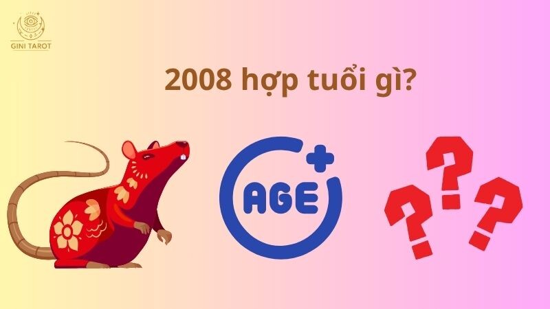 2008 hợp tuổi gì