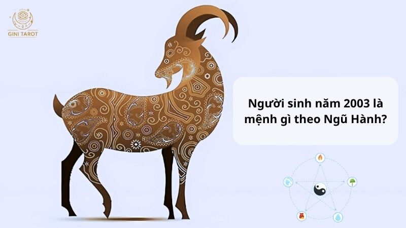 Người sinh năm 2003 là mệnh gì theo Ngũ Hành?