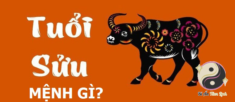 2k9 là bao nhiêu tuổi 2025? Mệnh và tình duyên như thế nào?