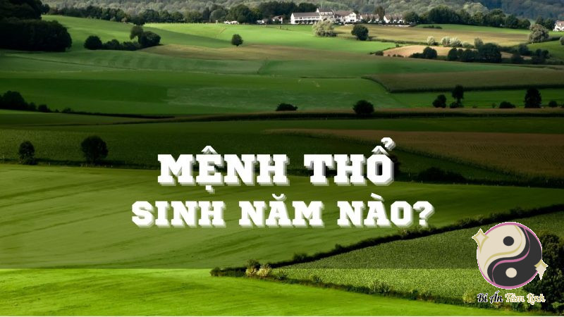 Tìm hiểu mệnh Thổ là gì và những điều liên quan cần biết 