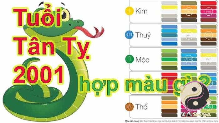 Sinh năm 2k1 hợp màu gì?