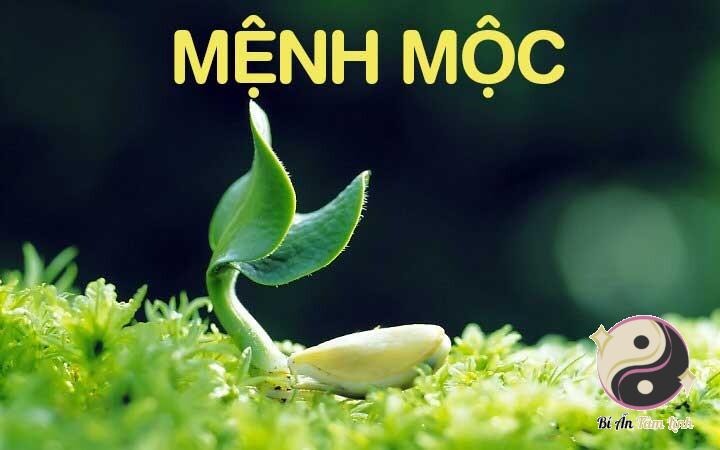 Xác định một người thuộc hành Mộc
