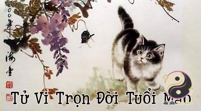 Tìm hiểu 2k11 tuổi con gì?