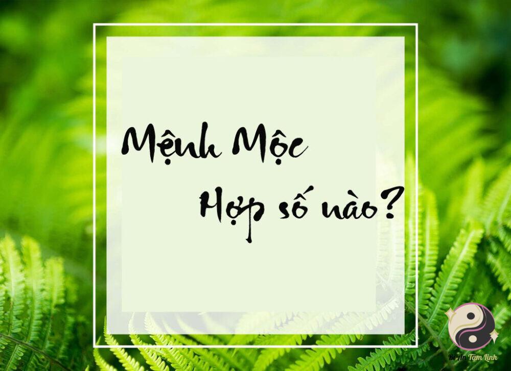 Con số hợp với mệnh Mộc là gì?