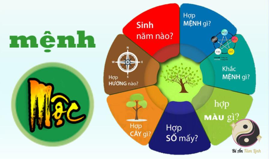 Mệnh Mộc là gì?