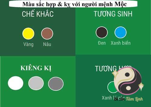 Người mệnh mộc hợp màu gì? Cách lựa chọn đồ cho người mệnh mộc