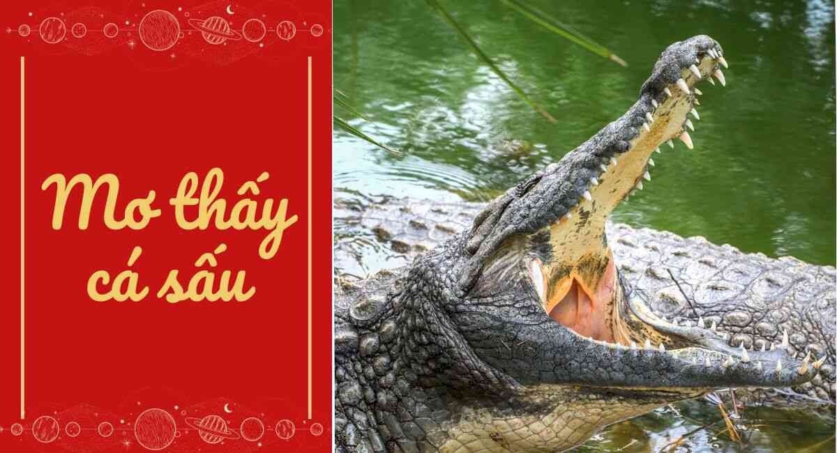Mơ thấy cá sấu: Giấc mơ bí ẩn và con số may mắn