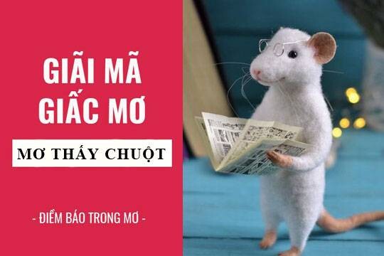 Giải mã trong giấc mơ thấy chuột và những con số may mắn