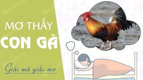Mơ thấy gà có phải là điềm báo may mắn? Nên đánh gì?